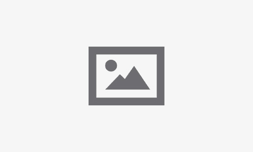 WEDO Website launching